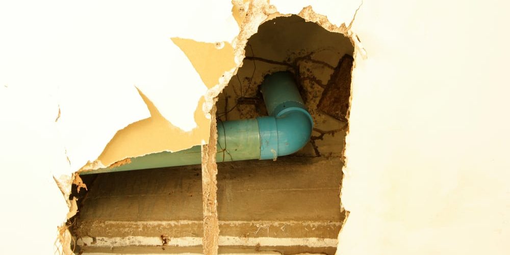 Get to Know the Real Pest of Water Damage