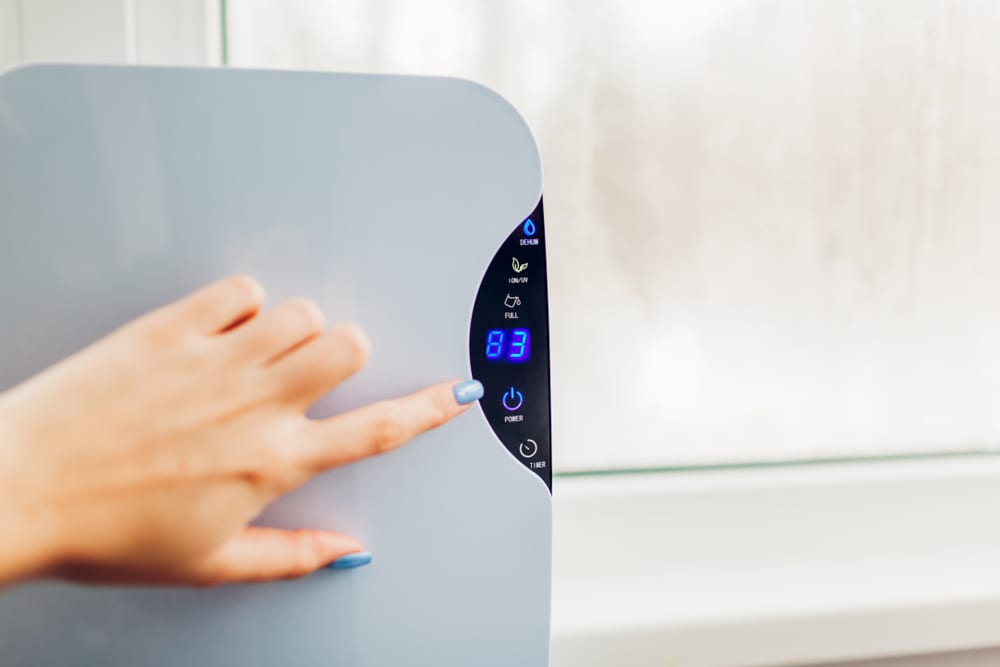 Keep the Moisture Out of Your Home – Tips and Tricks to Cleaning Your Dehumidifier