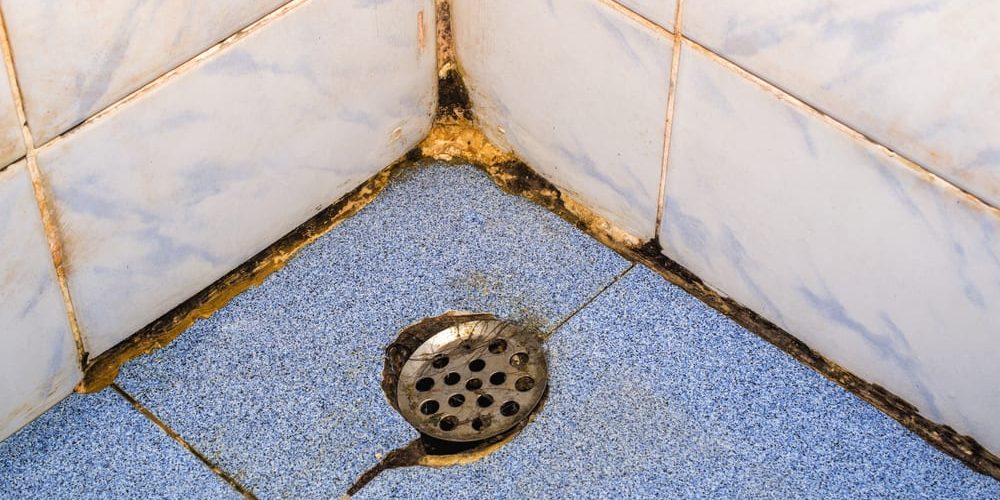 What Causes Bathroom Mold?  McMahon Services Construction