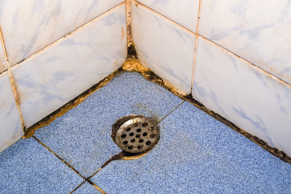 Moldy Bathroom? Learn how to keep your bathroom mold free!