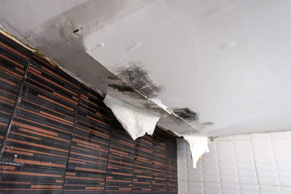 Dealing with Ceiling Damage? Here’s What to Look For.