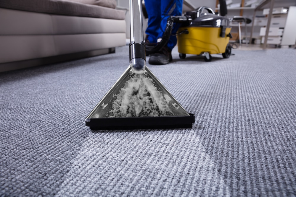 Why Fall Is The Perfect Time of Year For Carpet Cleaning In Illinois