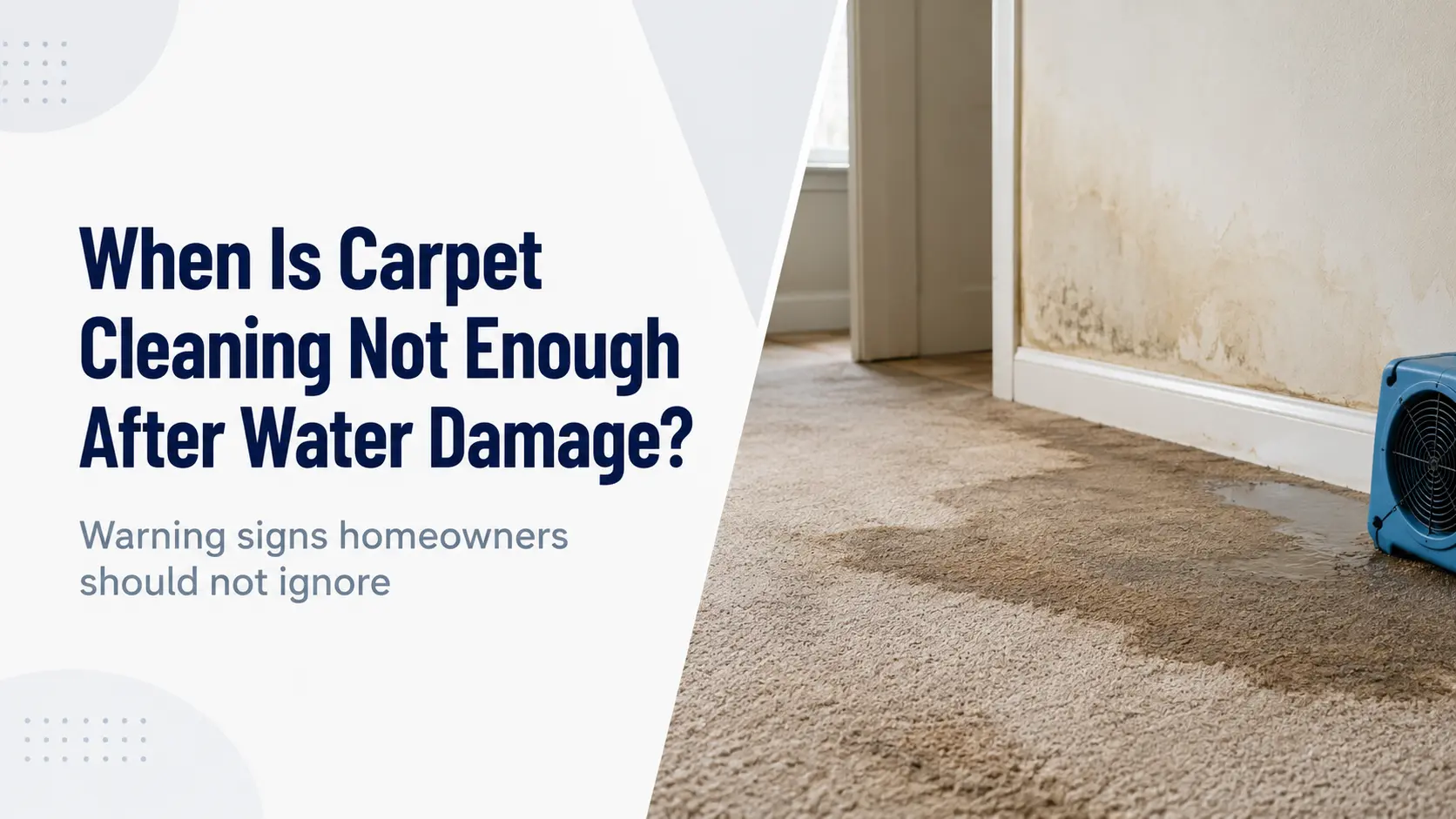 carpet cleaning after water damage carpet cleaning after water damage