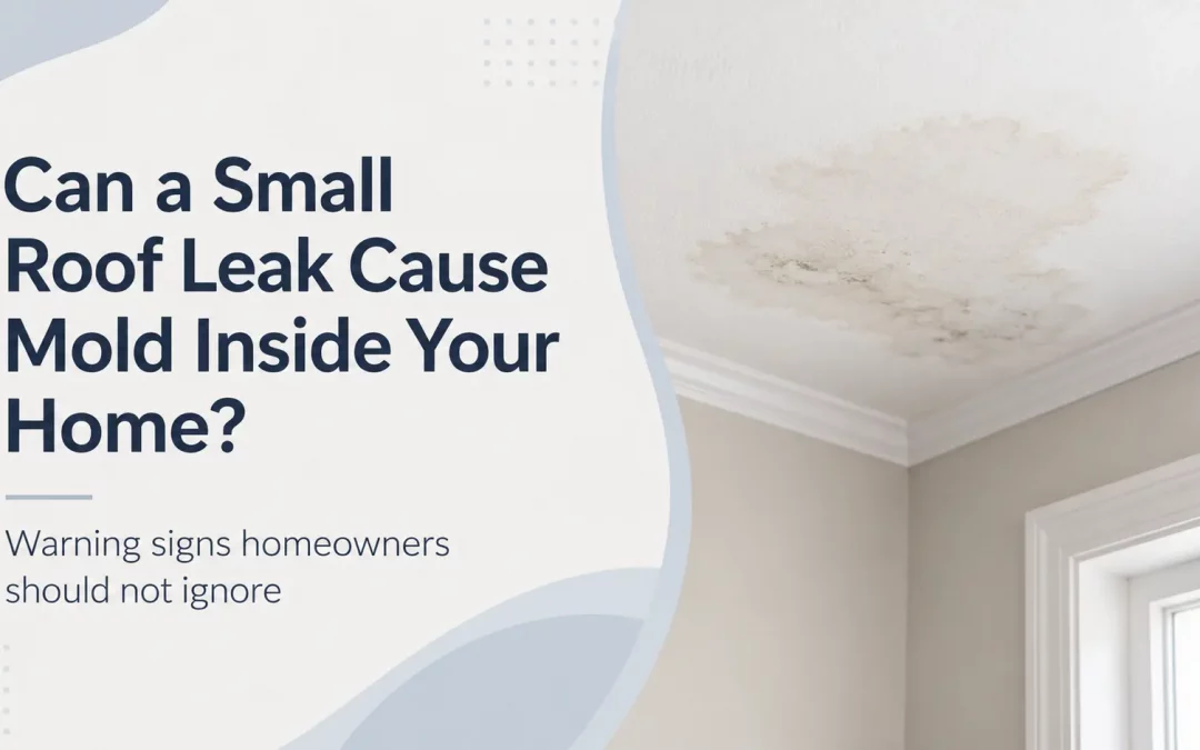 Can a Small Roof Leak Cause Mold Inside Your Home?