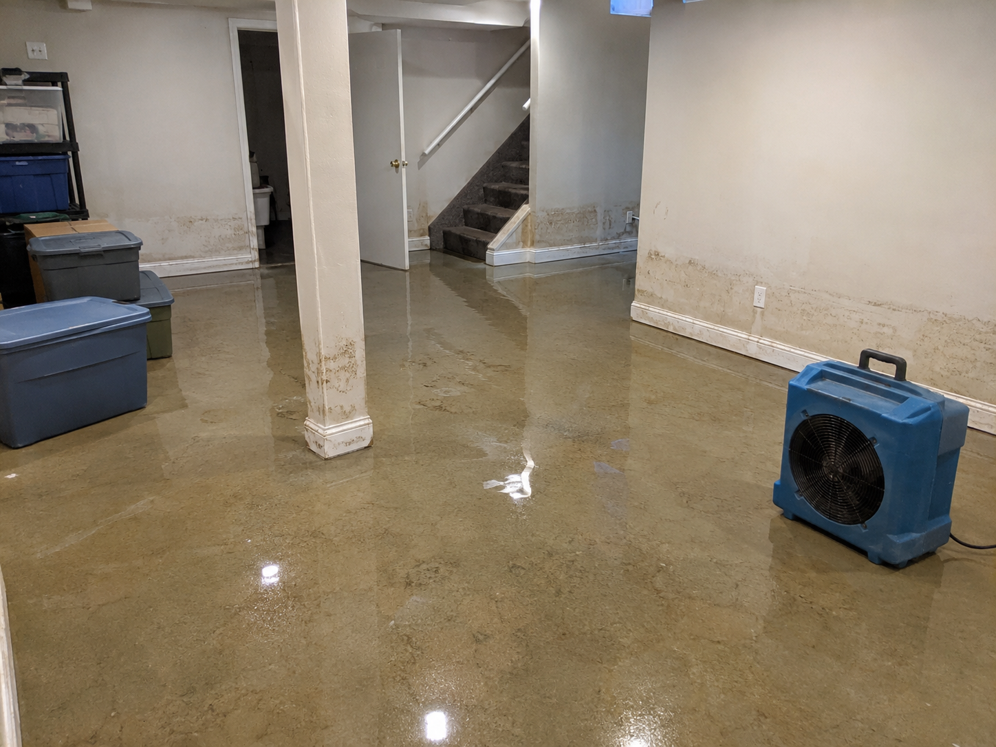 Basement flood cleanup first steps with standing water and drying equipment