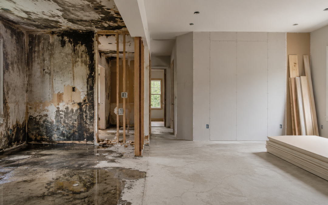 Do You Need Restoration and Construction After Property Damage?