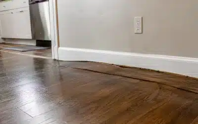 Can Mold Grow Under Flooring After a Water Leak?