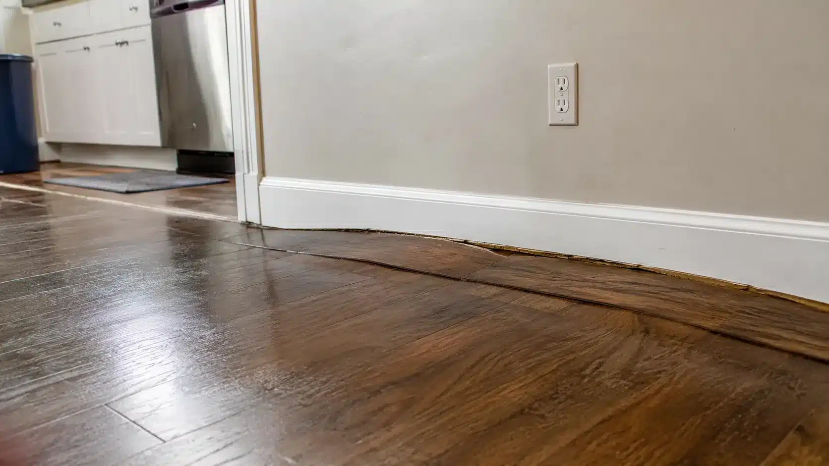 can-mold-grow-under-flooring-after-water-leak-blog-banner can-mold-grow-under-flooring-after-water-leak-blog-banner