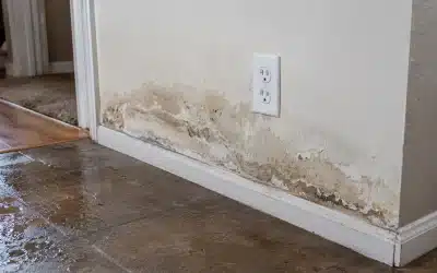 Can Water Damage Affect Electrical Wiring and Outlets?