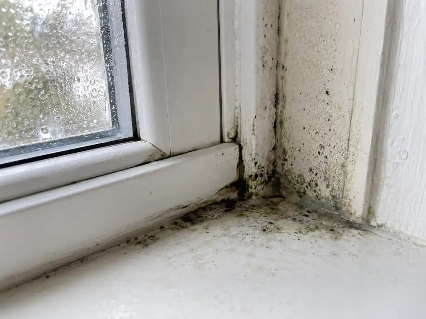 Condensation and mold growth on an interior window sill