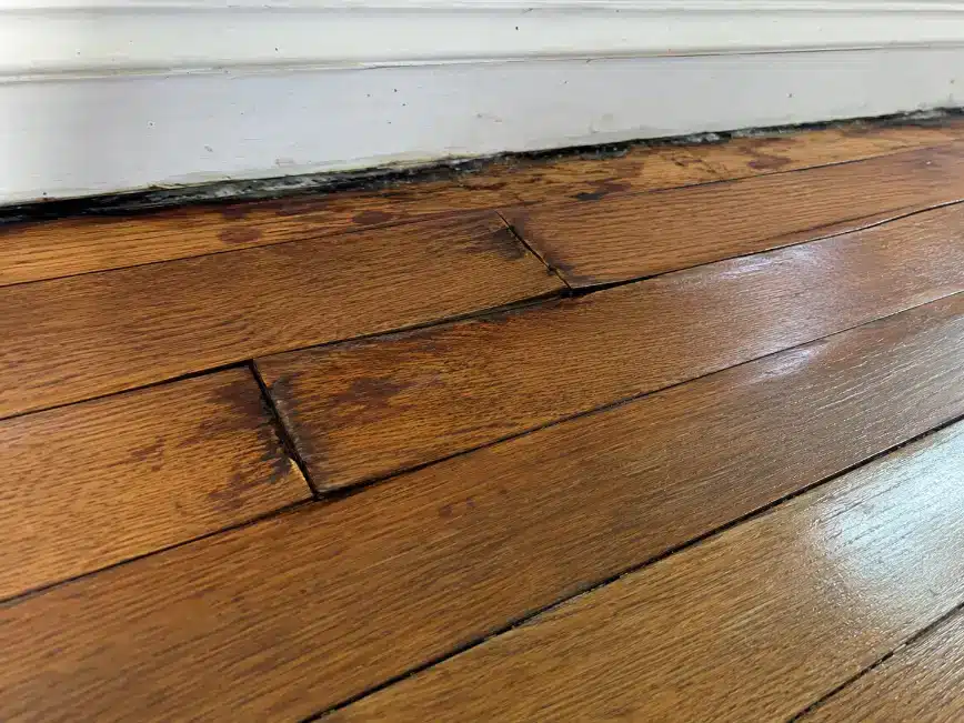Cupped and warped hardwood floorboards caused by water damage