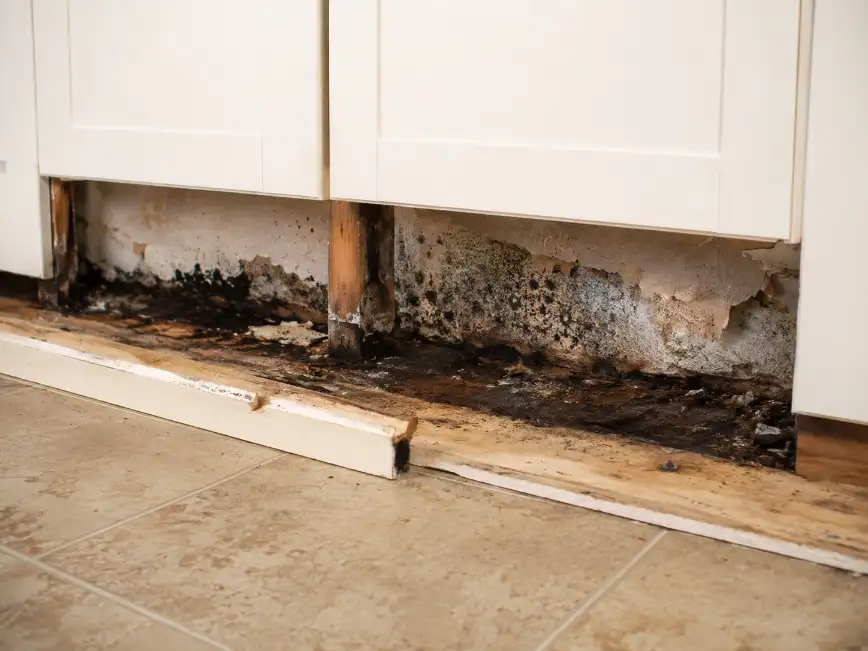 Mold and concealed water damage behind kitchen cabinets