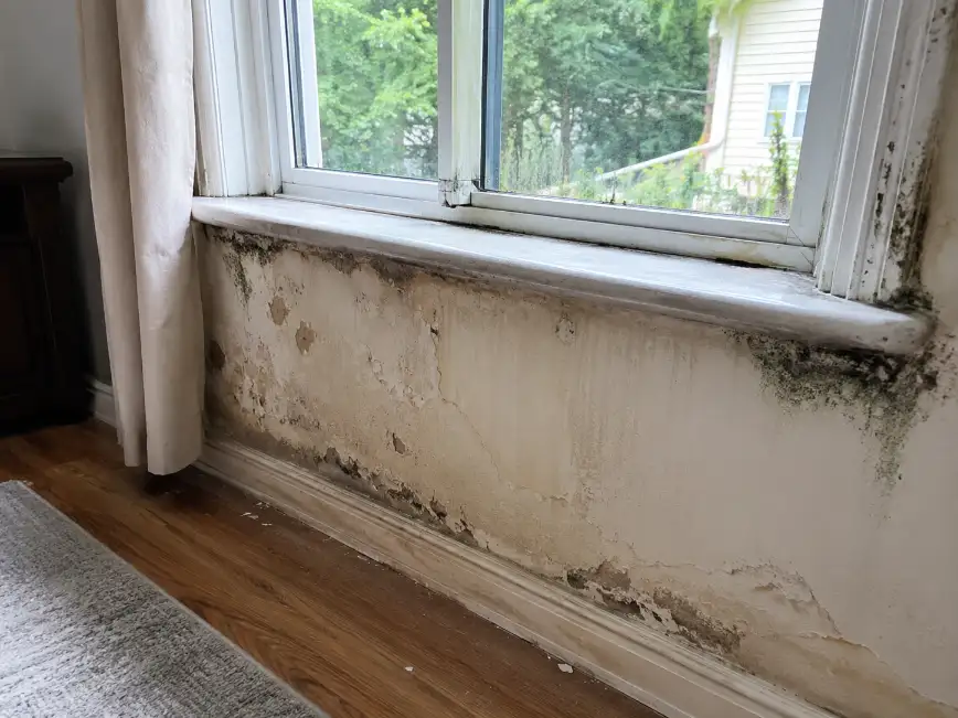 Mold and water damage on drywall and trim below a leaking window