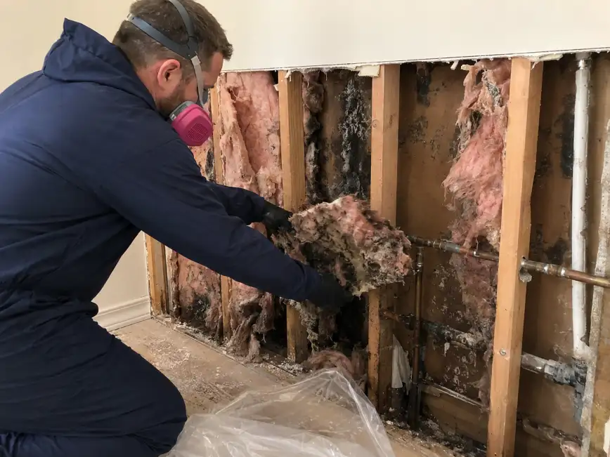 Professional mold remediation inside a wall after a plumbing leak