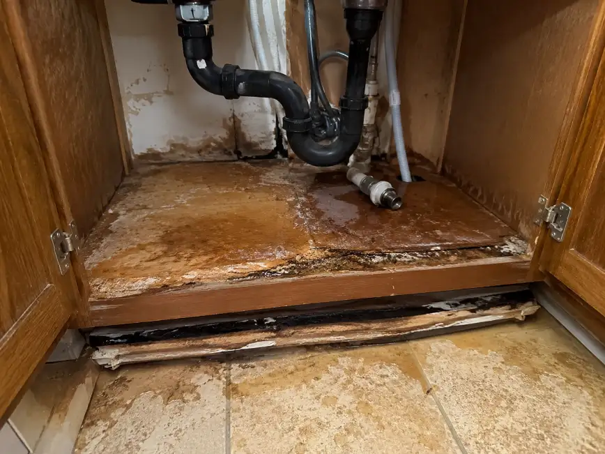 Water-damaged cabinet under a kitchen sink after a plumbing leak