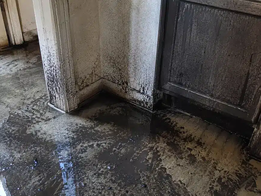 Wet soot and ash residue mixed with firefighting water after a house fire